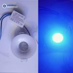TV LIGHT AKT 3W blue
