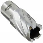 Dewalt Annular Cutter