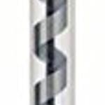 Bosch Wood Auger Bit, Hexagon 20 x 385 x 450 mm